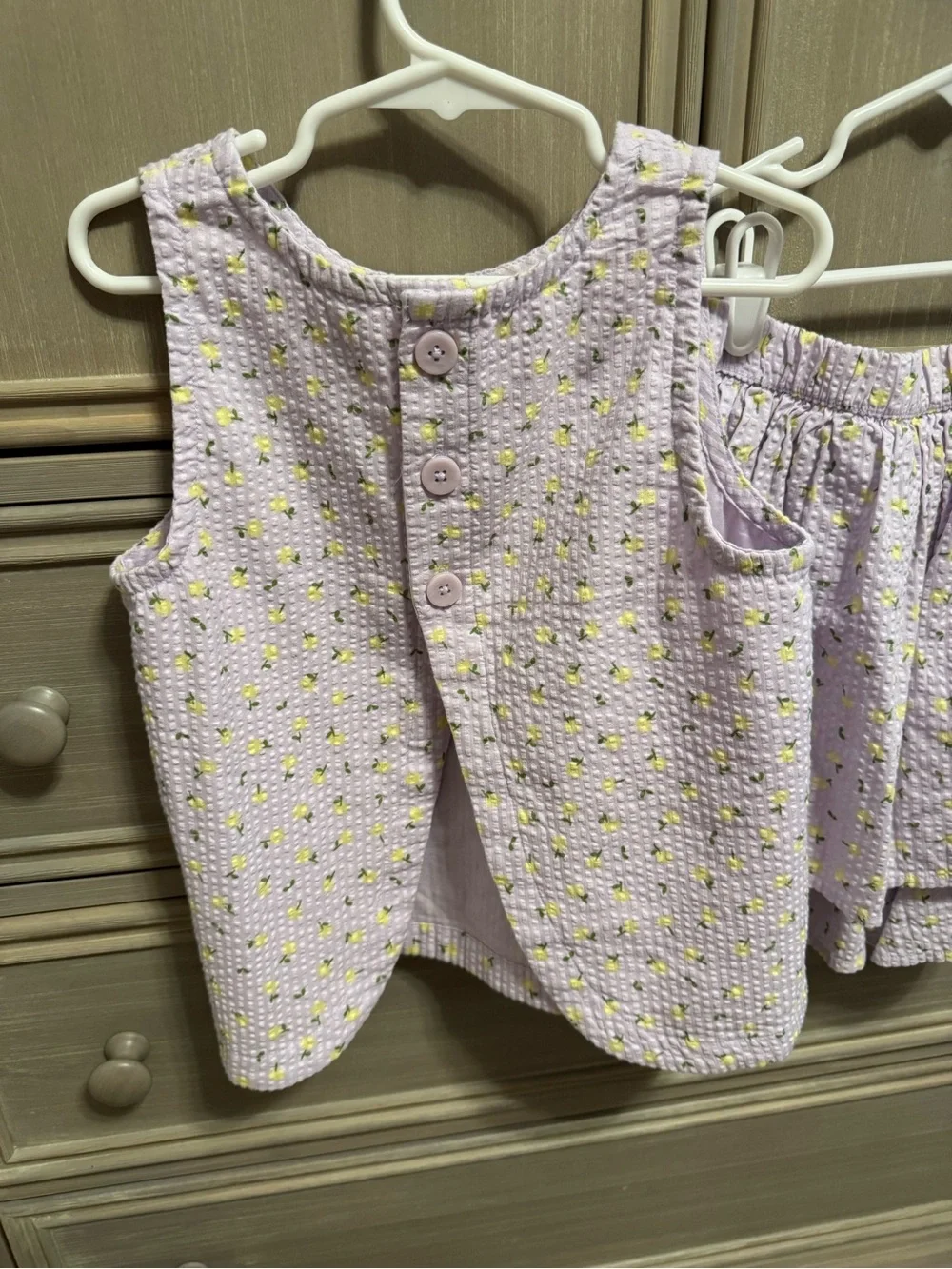 Hanna Andersson Lavender Lemon Matching Skirt Outfit
